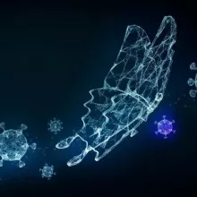 Cross-cutting Topic: COVID 19