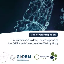 Call for Participation: Risk informed urban development