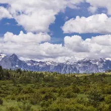 Photograph of a landscape with lush forests, a range of mountains and blue skies with fluffy clouds.