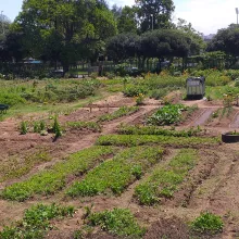 Photo credits @ Bioregional South Africa