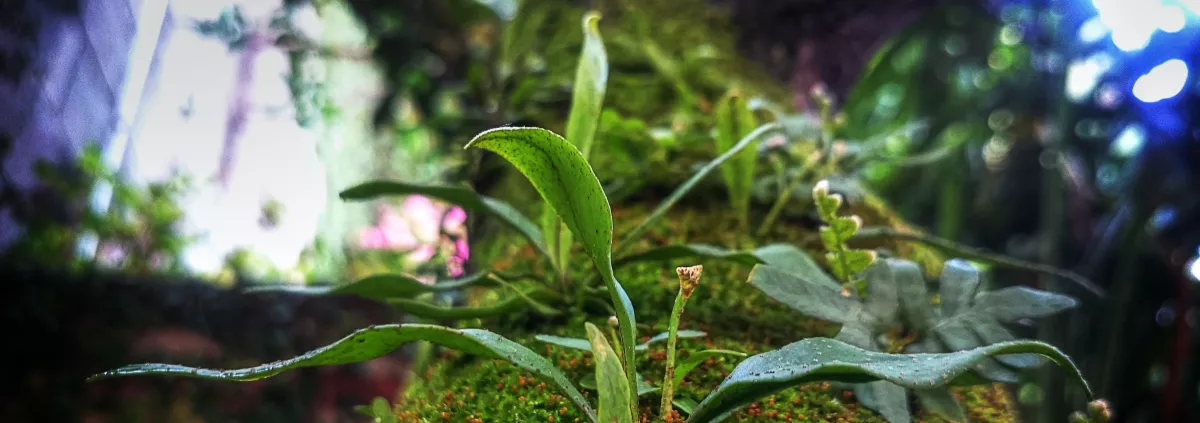 Kick-off of The Biodiversity Group