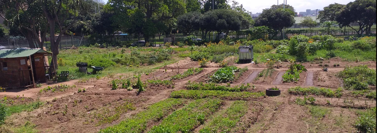 Photo credits @ Bioregional South Africa